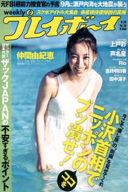 《碧血书香梦》