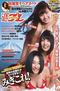 第九大队电视剧